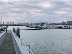 -五缘湾游艇帆船俱乐部