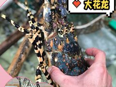 -新欢海鲜坊(赖屋店)