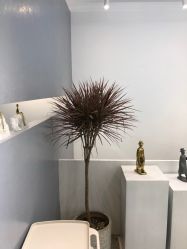 -I+造型烫发染发