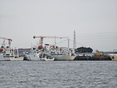 -长洲渡车船码头
