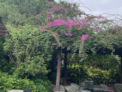 -台山颐和温泉城