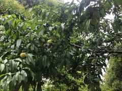 -江南大学-4食堂