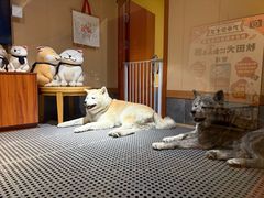 -大江户·温泉洗浴(浑南店)