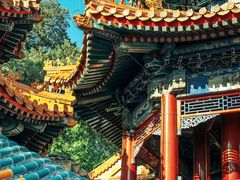 -颐和园