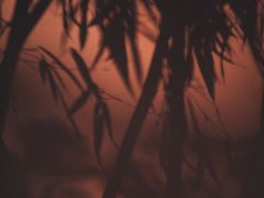 -望江楼公园