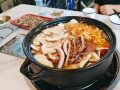 -蘑统田下·野生菌火锅