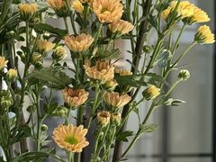 -南堂馆·新川菜(春熙路店)