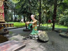 -瑞丽独树成林风景区