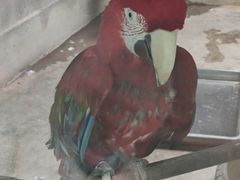 -青藏高原野生动物园