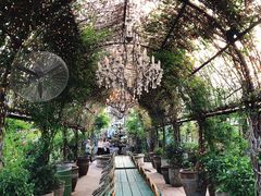 -The Grounds of Alexandria