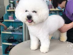 -北京观赏动物医院·24小时大型综合·猫专科·异宠专科