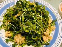 香椿苗拌桃仁-鸿禧大清花(方庄店)