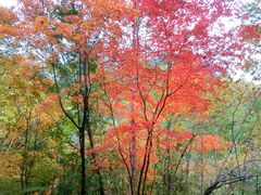 -丹东天桥沟景区
