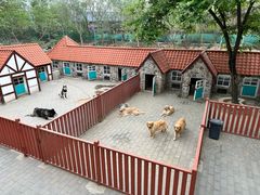 -北京市海淀外国语实验学校