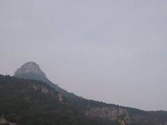 -抱犊崮国家森林公园
