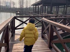 -白马涧龙池景区