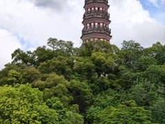 -顺峰山公园