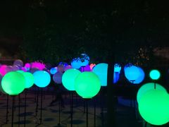 -锦江乐园舞狸花花游园会(夜场专享)