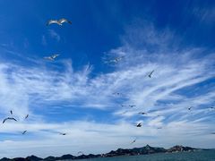 -海驴岛(荣成市)