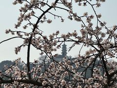 -上方山森林动物世界