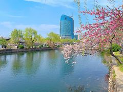 -无锡蠡湖国家湿地公园-蠡园
