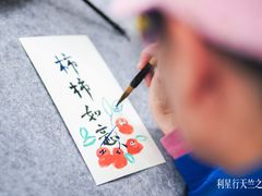 -利星行天竺之星汽车有限公司