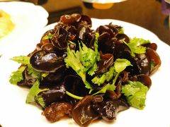 -新南华大酒店(长寿店)
