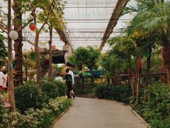 -南宫五洲植物乐园