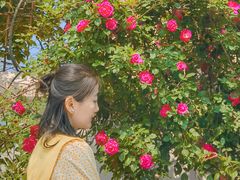 -文化名人故居一条街