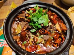 -铁公鸡·四川料理(天环广场店)