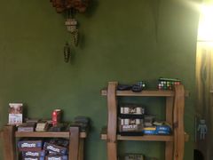 -猫猫幼稚园·撸猫·桌游·电玩