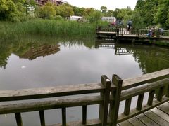 -吴淞炮台湾湿地森林公园烧烤区