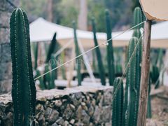 -MOJ coffee(瓯海泽雅水碓坑店)