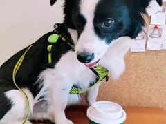 拿铁-LAB COFFEE来杯咖啡(浦仓路店)