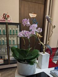 -加减美医美连锁品牌