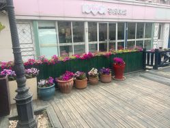 -爱儿美儿童摄影(五路居花园别墅店)