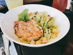 -bluefrog蓝蛙(金桥店)
