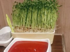 -海底捞火锅(万丰桥店)