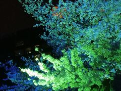 -上海港国际客运中心