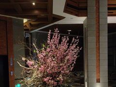 -浅深Cheersum(曹杨店)