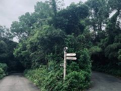 -东部华侨城