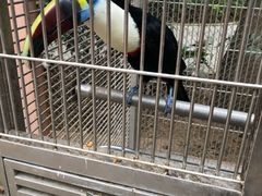 -南宫五洲植物乐园