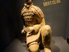 -陕西历史博物馆