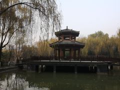 -西安市长乐公园