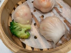 -新雅粤菜馆(南京东路店)