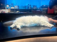 -暗楼·剧本杀·桌游