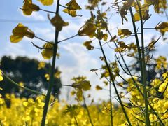 -广富林郊野公园