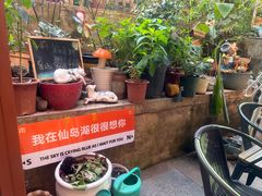 -鱼乐岛餐厅·户外花园主题餐厅