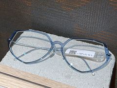 -大视光学•LINDBERG林德伯格•全球手工眼镜集合店(王府井店)
