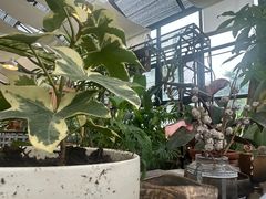 -北马山庄植趣咖啡